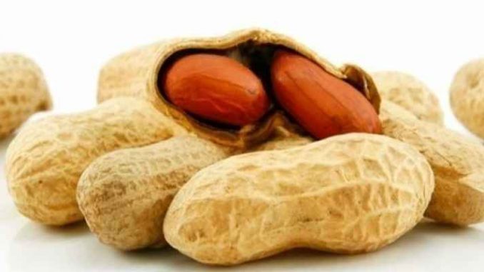 البروبيوتك