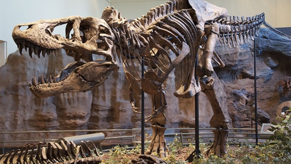أقدم ديناصور